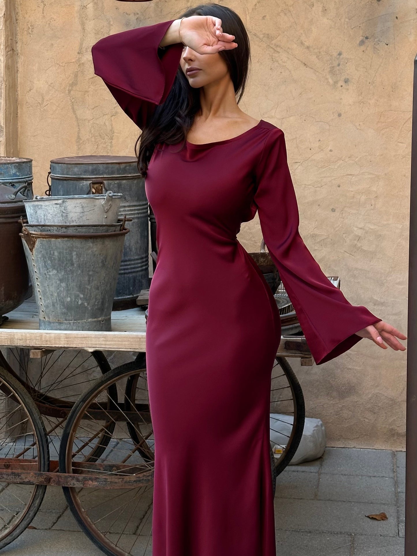 Felicity Fashion | Long sleeve maxi dress